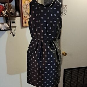 Nwt J.Crew Petites Polka Dot Sleeveless Dress, Size 0